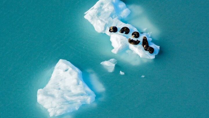 Anchorage Prince William Sound Helicopter Tour with Landing