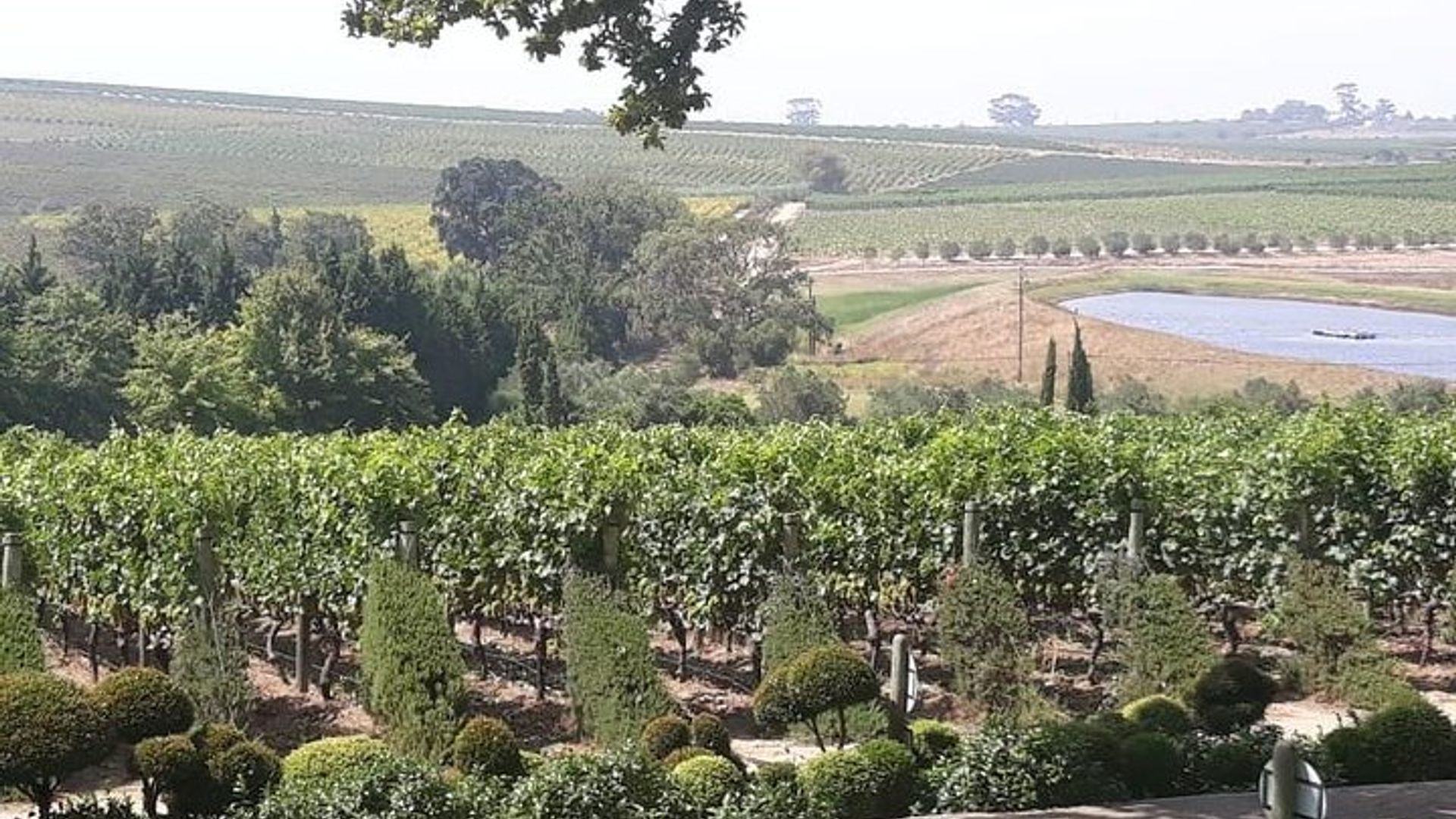 Visite de dégustation de vins de Stellenbosch, Franschhoek et Paarl
