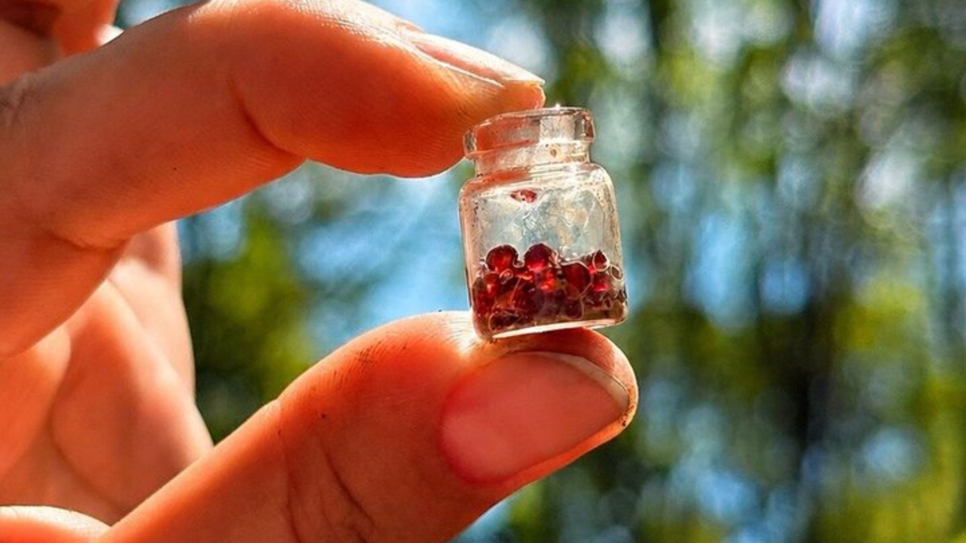 Czech Countryside Garnet Panning, Farm, and Lunch Private Tour