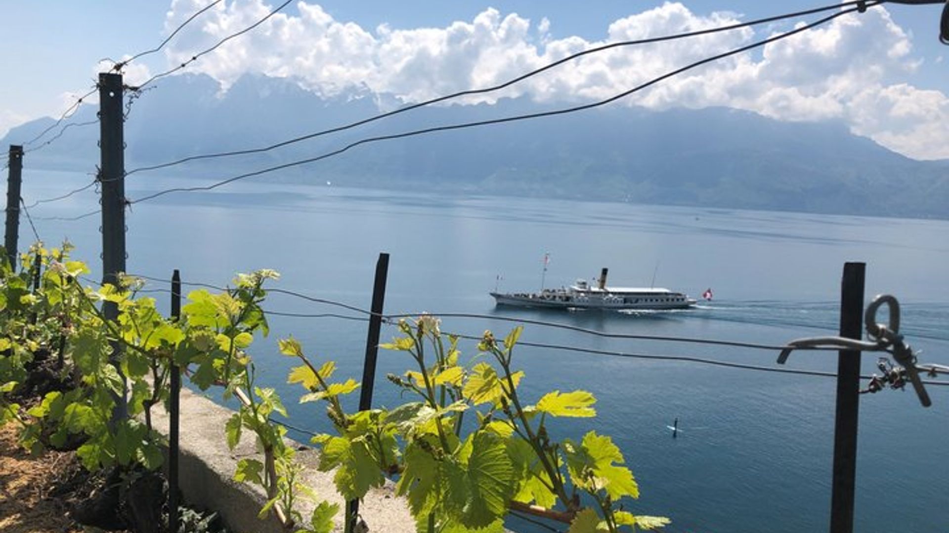 Visite audio du lac Léman en voiture autonome au départ de Lausanne/Montreux