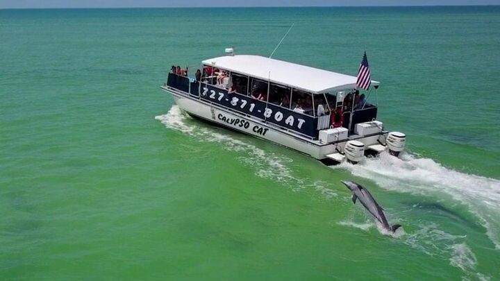 4 Hour Egmont Key Island Tour With Dolphins & Snorkeling Included
