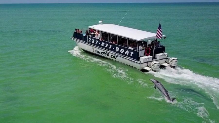 Egmont Key Island Tour With Dolphins and Snorkeling