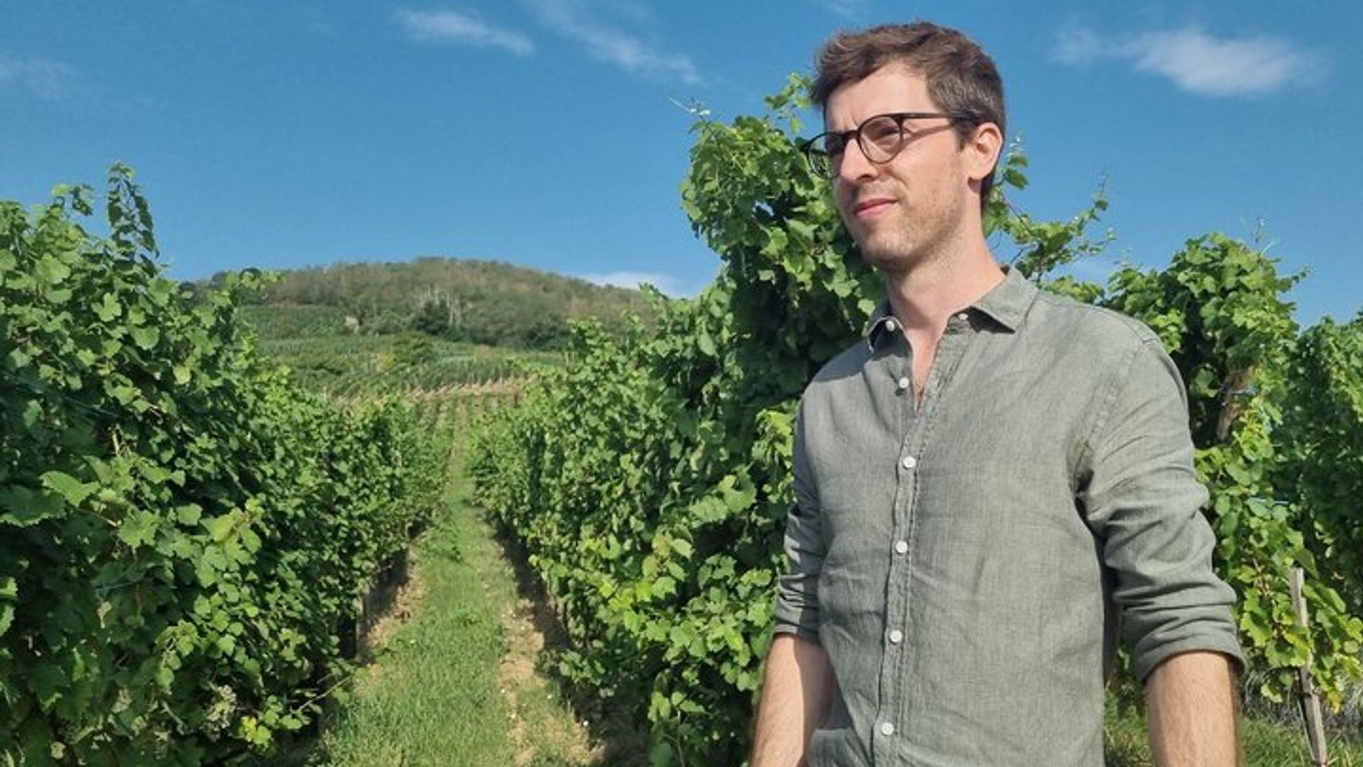 Guía artesano local, visita al viñedo, bodega y 6 vinos de Orschwihr.