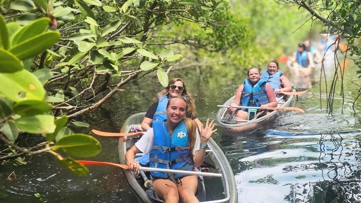 Sarasota Mangrove Tunnel Clear Kayak Small-Group Tour