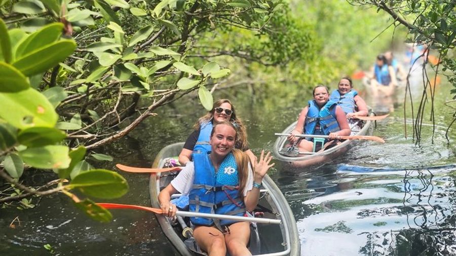 Sarasota Mangrove Tunnel Clear Kayak Small-Group Tour