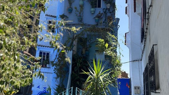 Day Trip to Chefchaouen From Fez with Local Expert