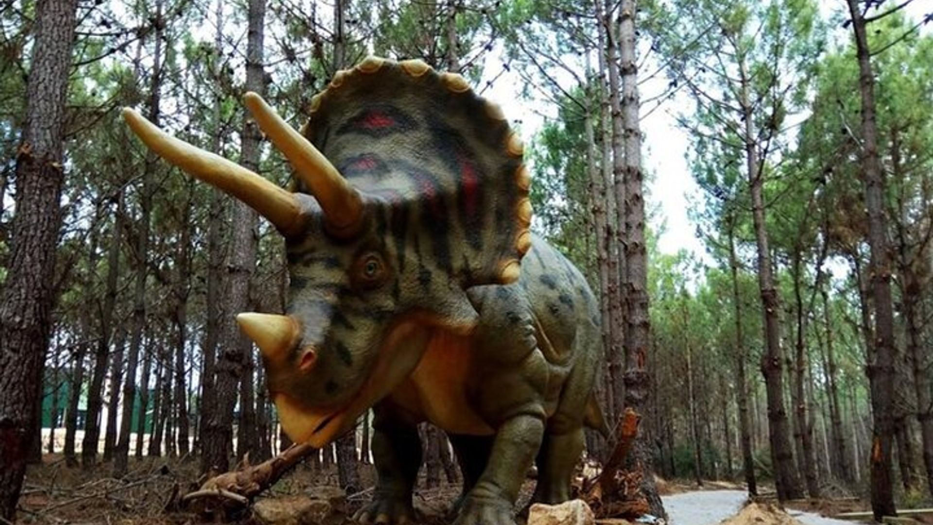 Lisbon: Dinosaur Park Tour With Private Round-Trip Transport