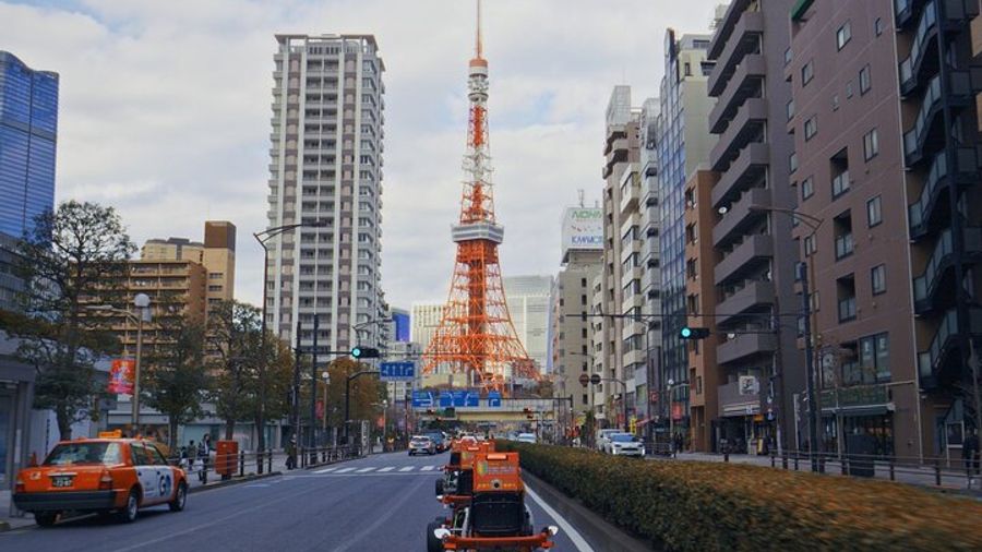 Tokyo Go-Karting Guided Tour