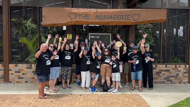 Airlie Beach Half-Day Sightseeing Bus, Cruise-Ship Friendly