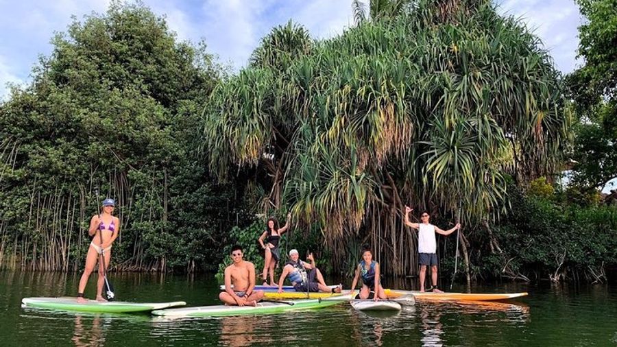 Oahu North Shore Group Stand-Up Paddle Lesson