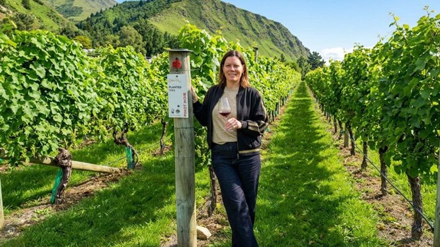 Gibbston Valley Adults-Only Wine Tour with Hotel Pickup