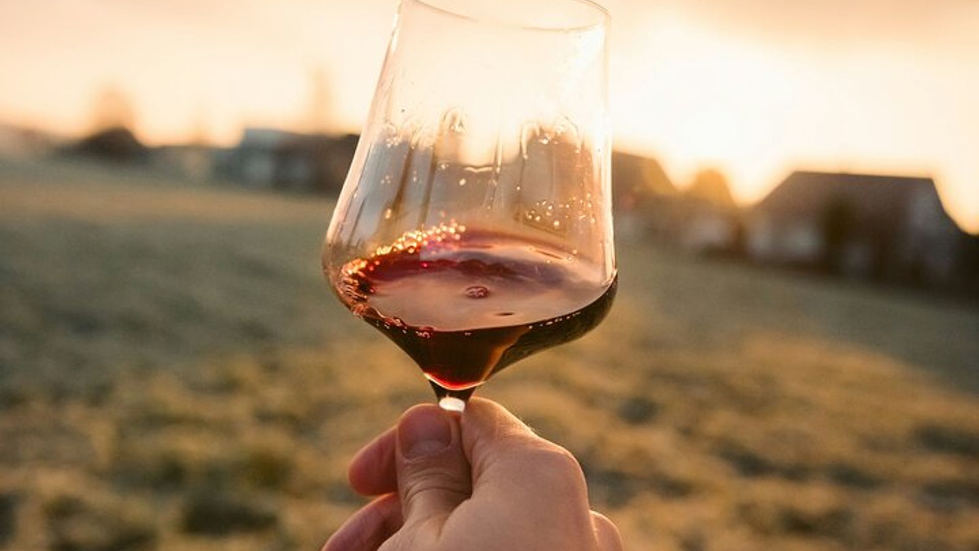 Dijon Wine Tour Côte de Nuits and Côte de Beaune Vineyards