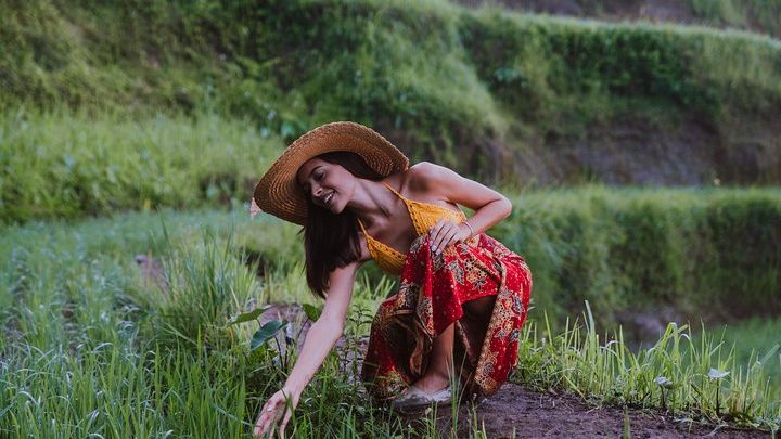 Bali Highlights Private Tour of Ubud and Hidden Waterfall