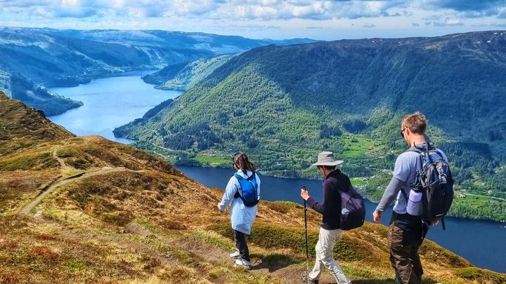Bergen Scenic Small-Group Guided Fjord Hike