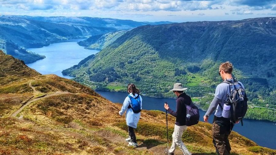 Bergen Scenic Small-Group Guided Fjord Hike