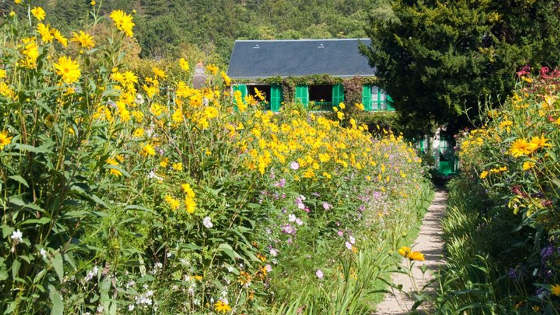 Rouen & Monet's Giverny Private Tour from Le Havre I Guide Option