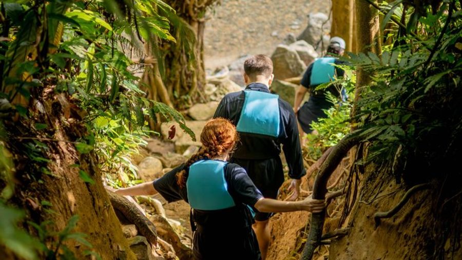 El Yunque Rainforest & Luquillo Beach Small-Group Waterfall Tour