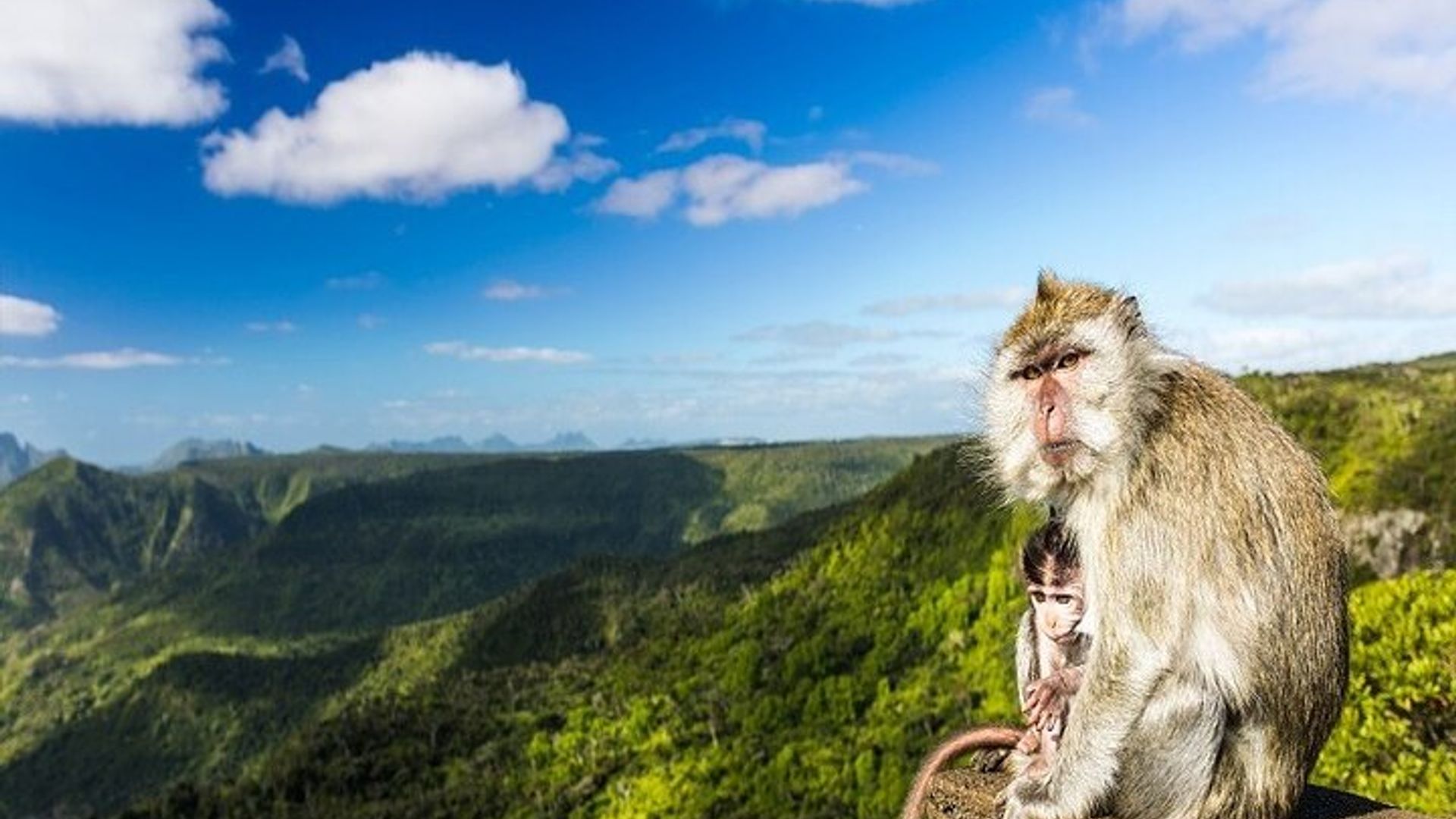 Mauritius South West Tour : Ganztägiges privates Abenteuer