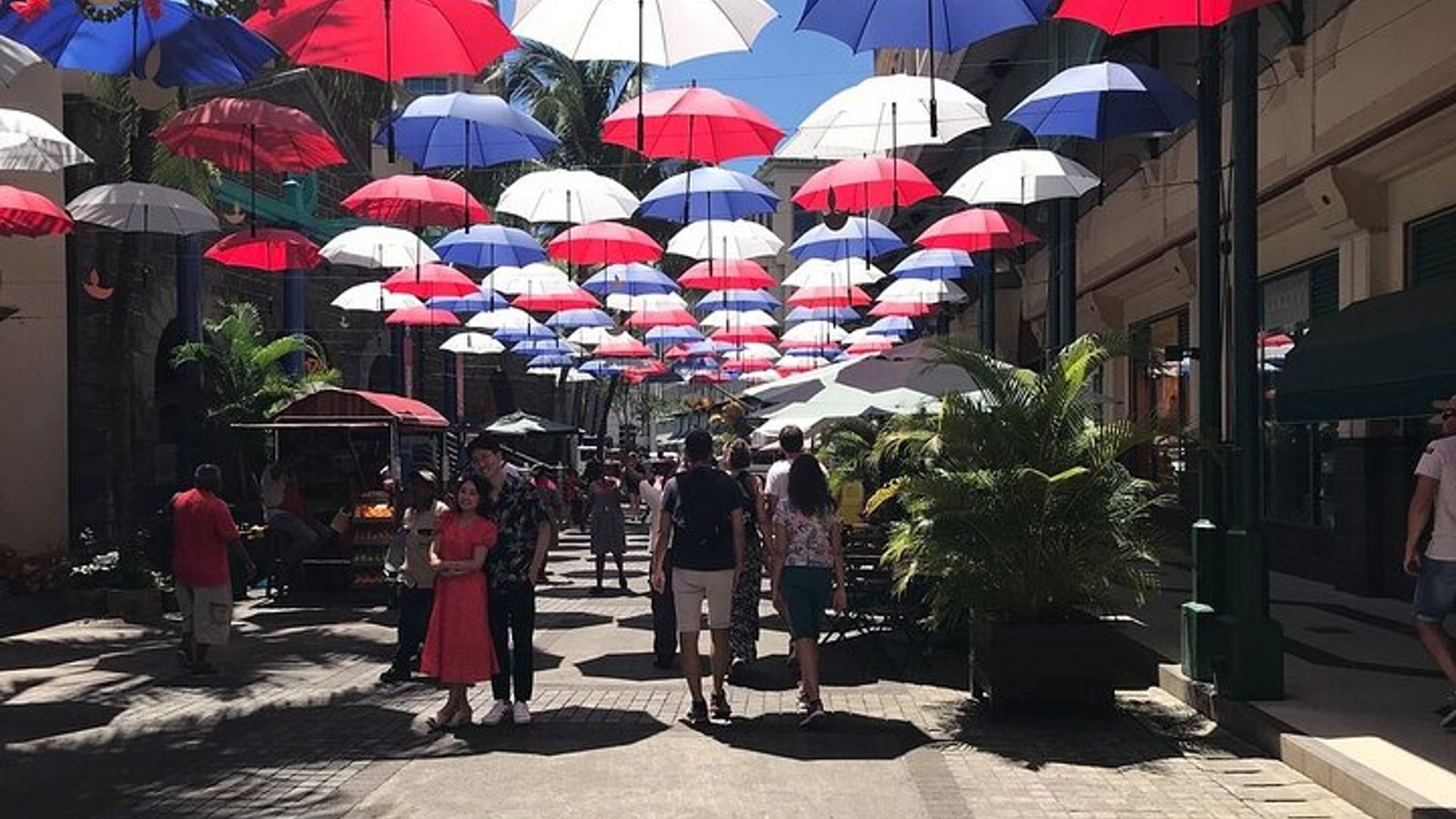Visite personnalisée d'une journée à l'île Maurice avec 8 attractions différentes