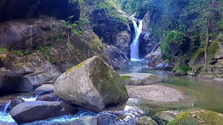 Minca Hiking and Coffee and Cocoa Workshop Combo Tour