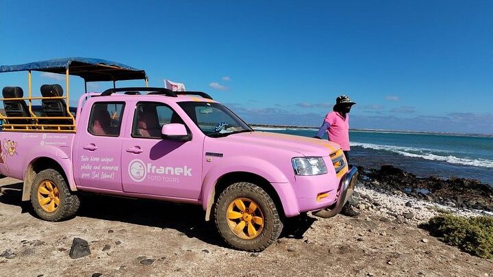 Private Creative Pictures Full Day Island Tour (Off Road inc.)