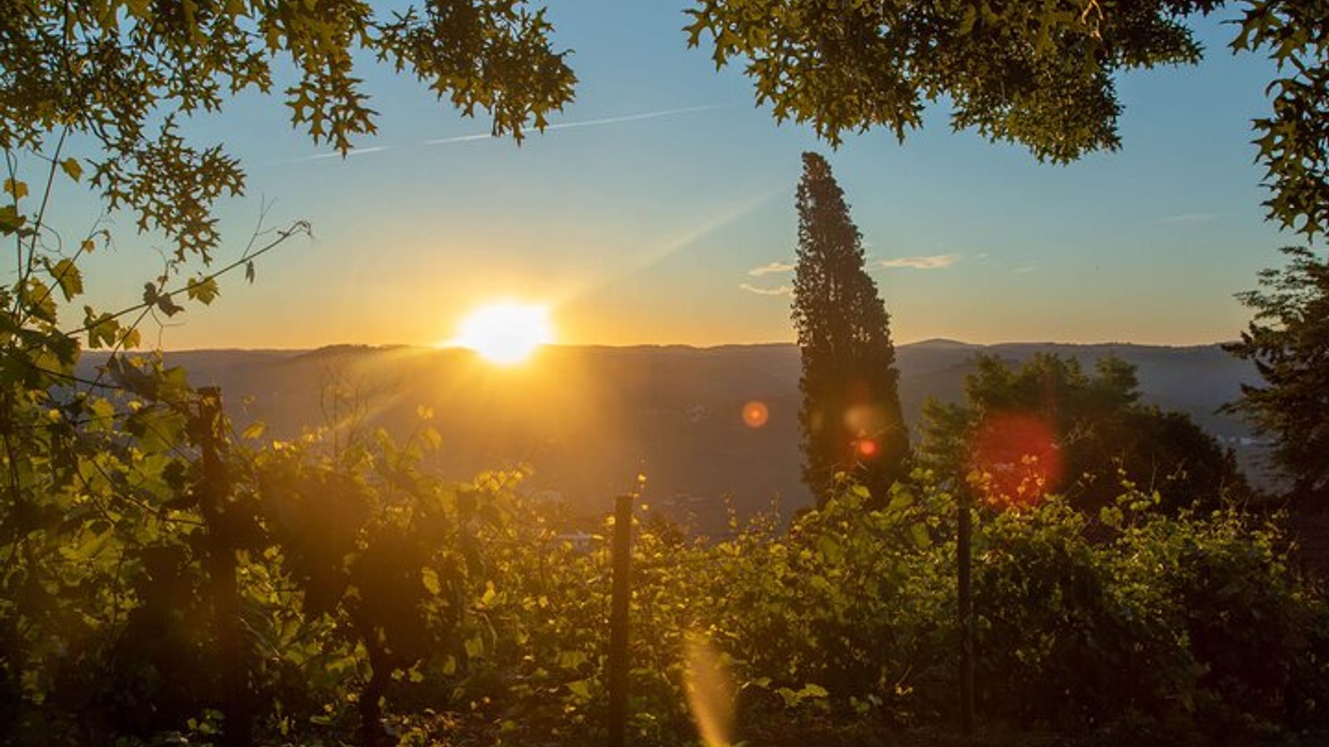 Reconnecting with the Past in Quinta DE Santa Julia