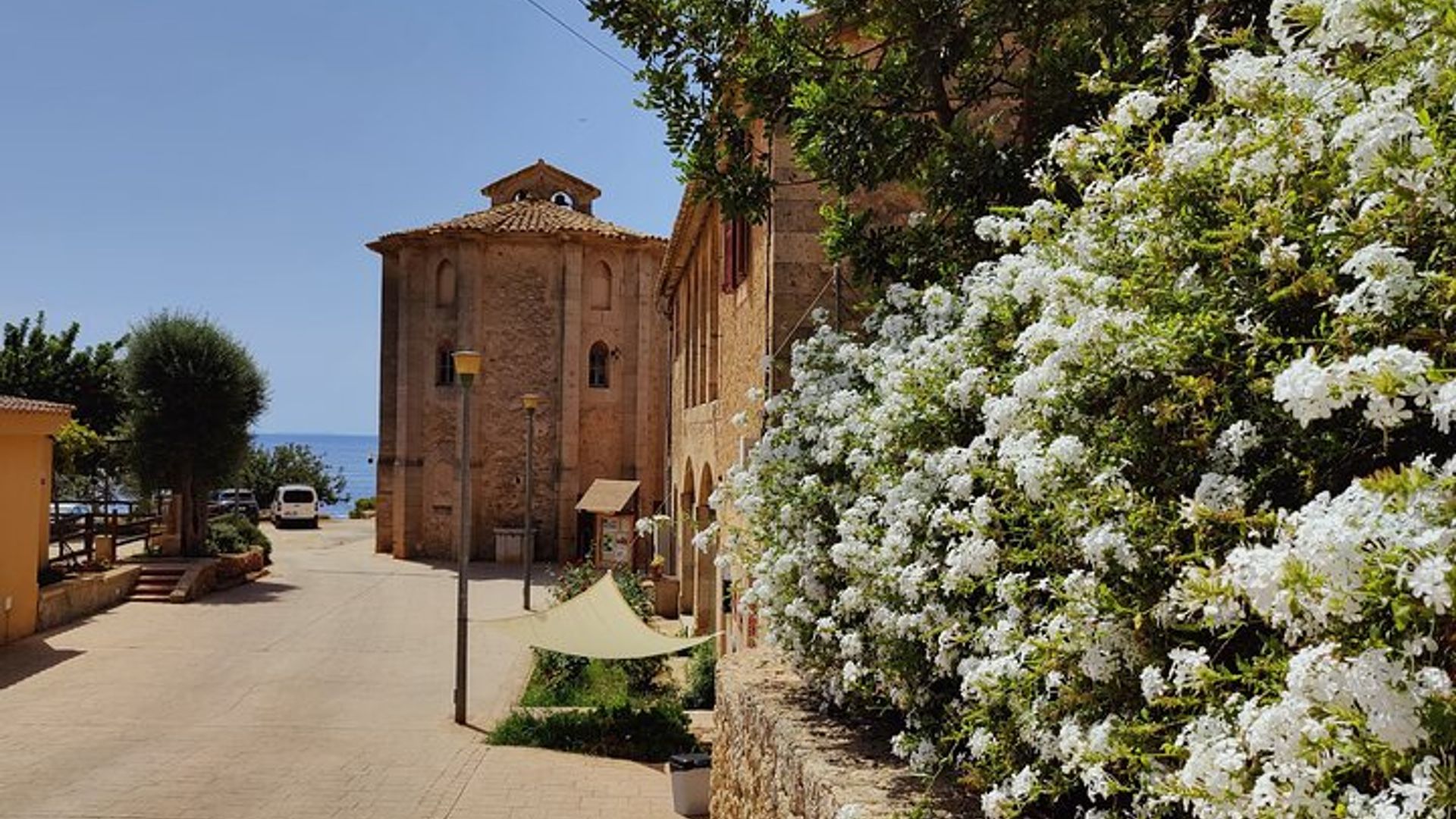 Palma de Mallorca Small-Group Tour With Snorkeling