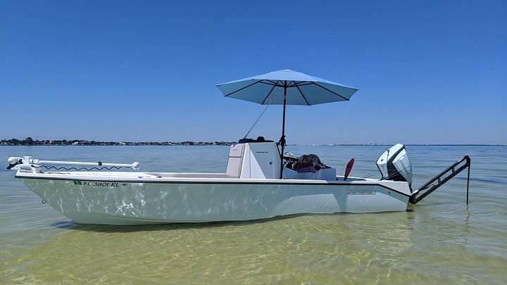 Tampa: Fishing Charter Private Half-Day Experience