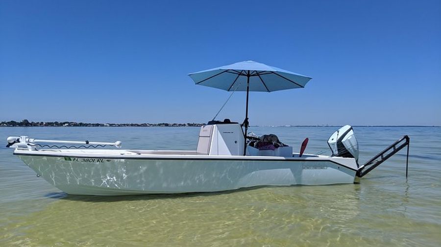 Tampa: Fishing Charter Private Half-Day Experience
