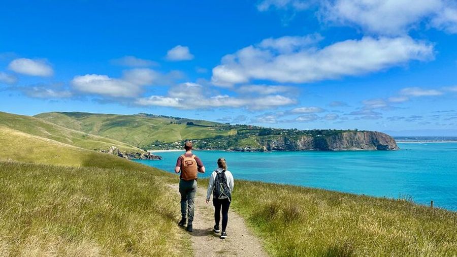 Banks Peninsula Small-Group Guided Hike from Christchurch
