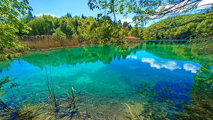 Plitvice Lakes Small-Group Trip With Guided Hike and Village
