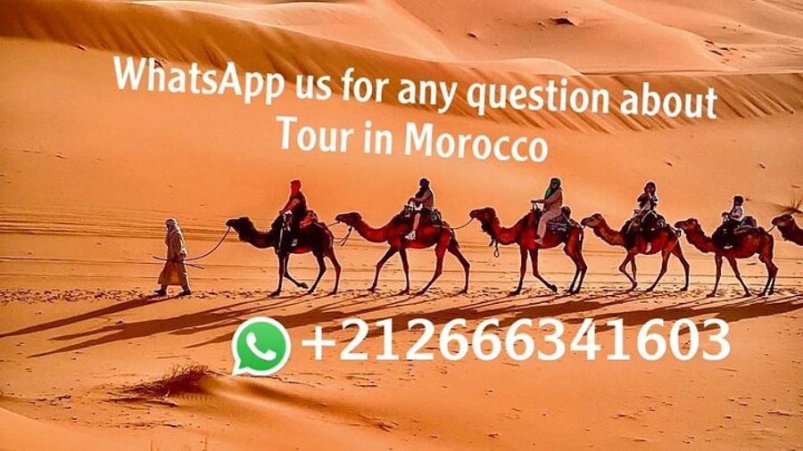 Merzouga Desert Private Overnight Camel-Trekking Tour