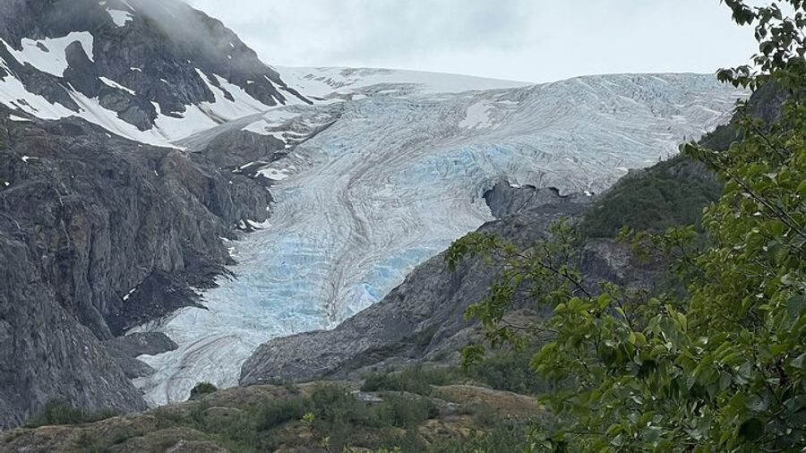 Seward Cruise Transfer with Wildlife & Scenic Tour to Anchorage