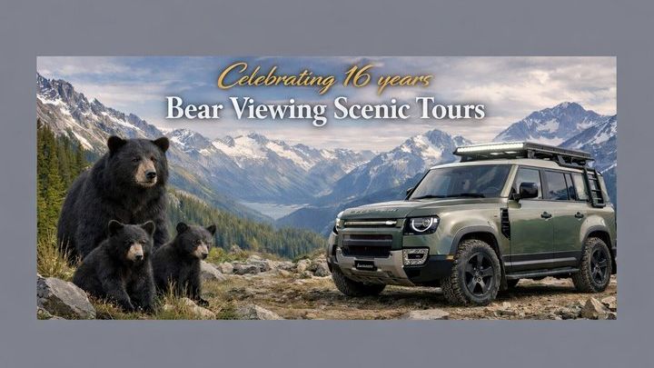 Whistler Morning With The Bears Land Rover Scenic Tour