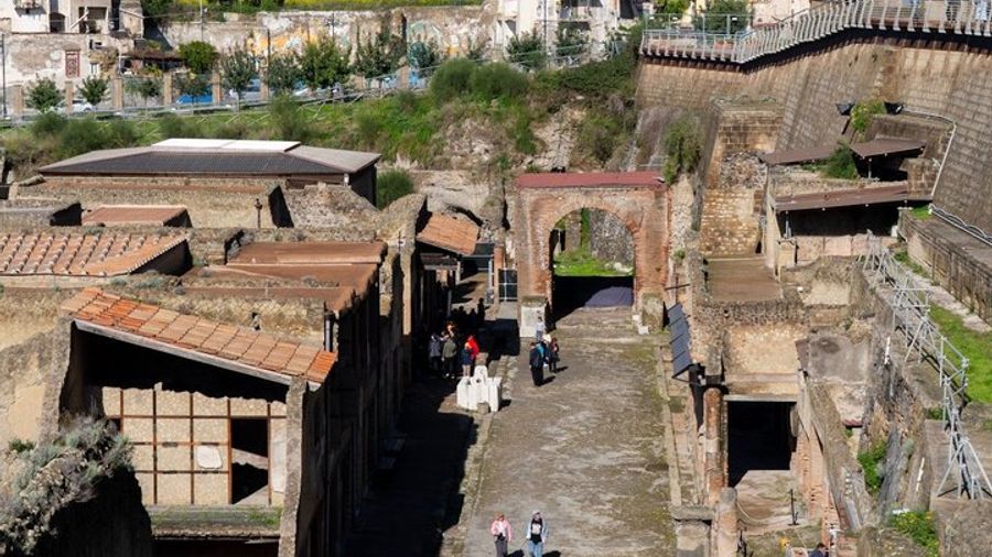 Herculaneum Private Skip-the-Line Tour From Sorrento