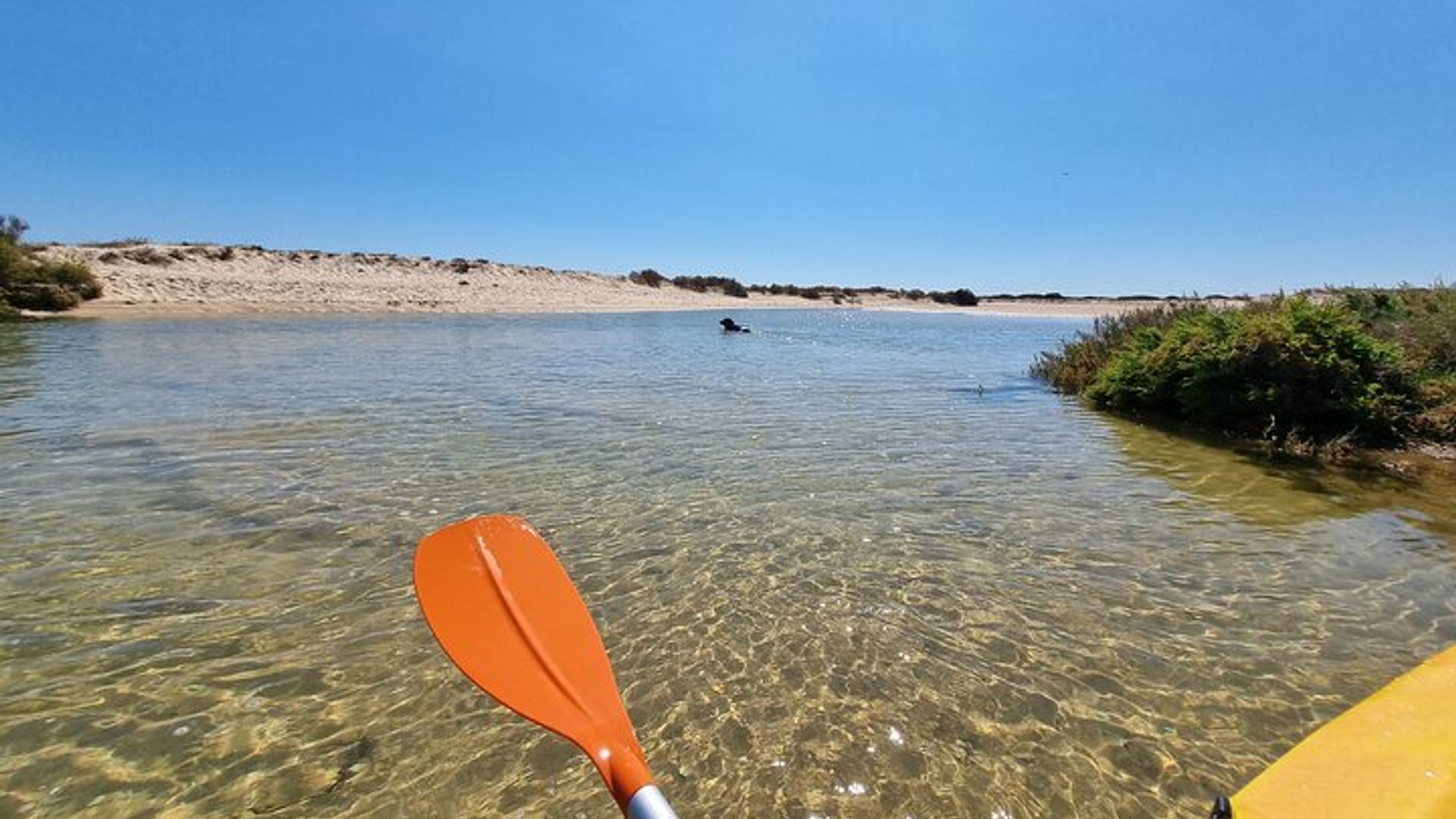Kajakverleih in Praia dos Cavacos