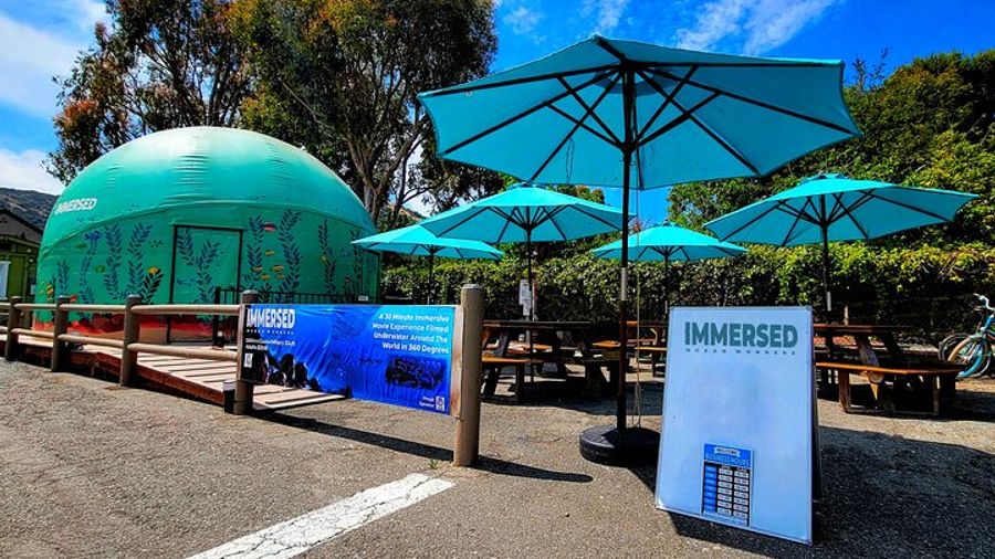 Ocean Wonders: Catalina Island's Immersive Movie Experience