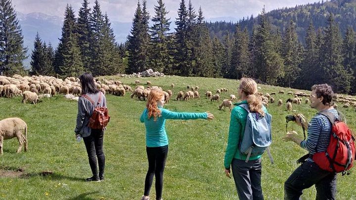 Piatra Craiului National Park private hiking tour from Brasov
