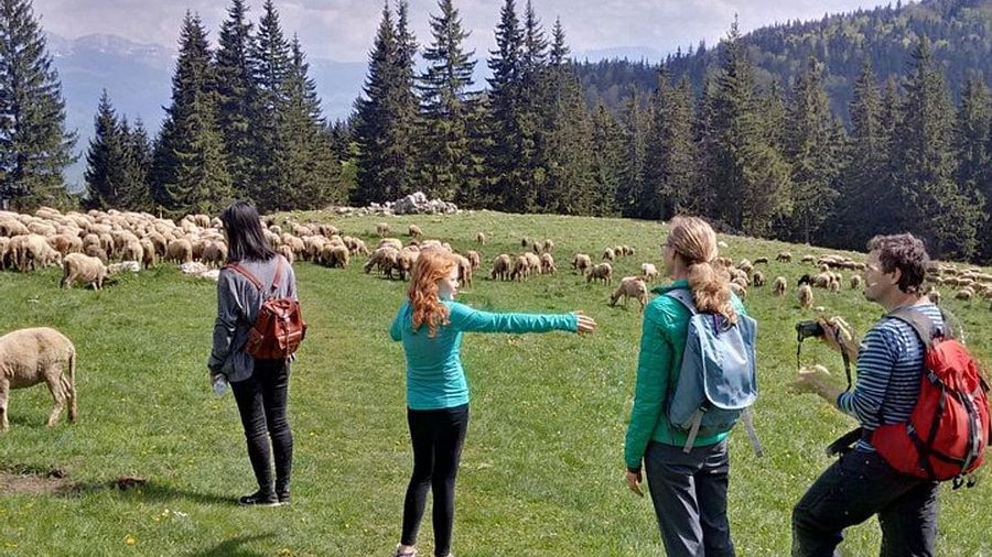 Piatra Craiului National Park private hiking tour from Brasov