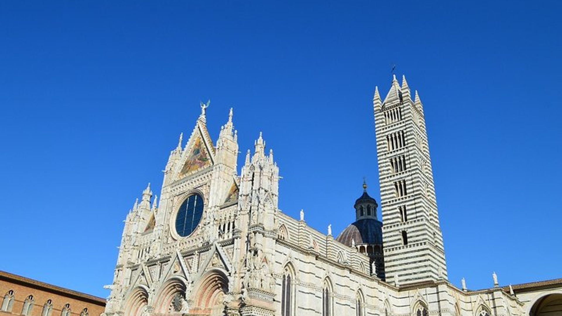 Siena Tour and exclusive window on Piazza del Campo