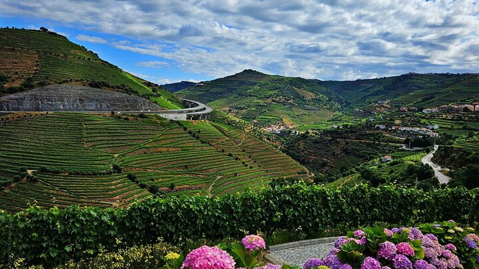 Douro Valley and Minho Private Wine Tour From Porto With Lunch