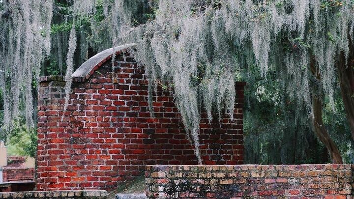 Savannah History and Sights Small-Group Walking Tour