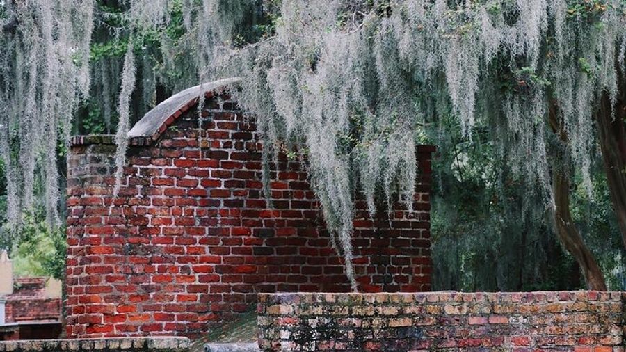 Savannah History and Sights Small-Group Walking Tour