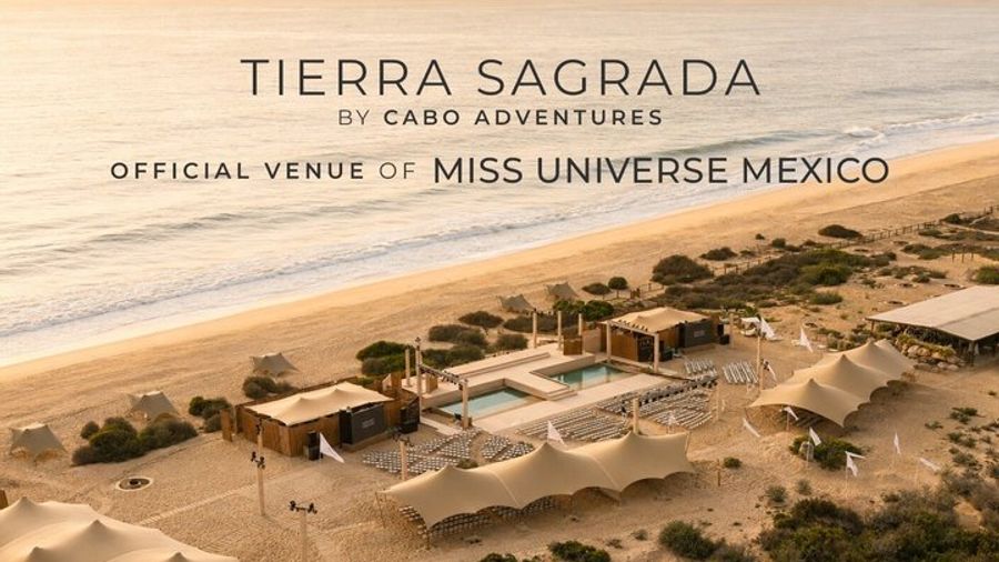 Los Cabos Camel Ride, Electric Bike & Mexican Buffet Experience