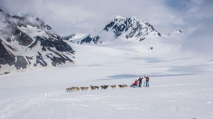 Alaska Helicopter and Dog Small-Group Sled Tour From Seward