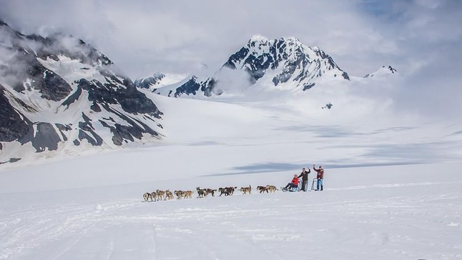 Alaska Helicopter and Dog Small-Group Sled Tour From Seward