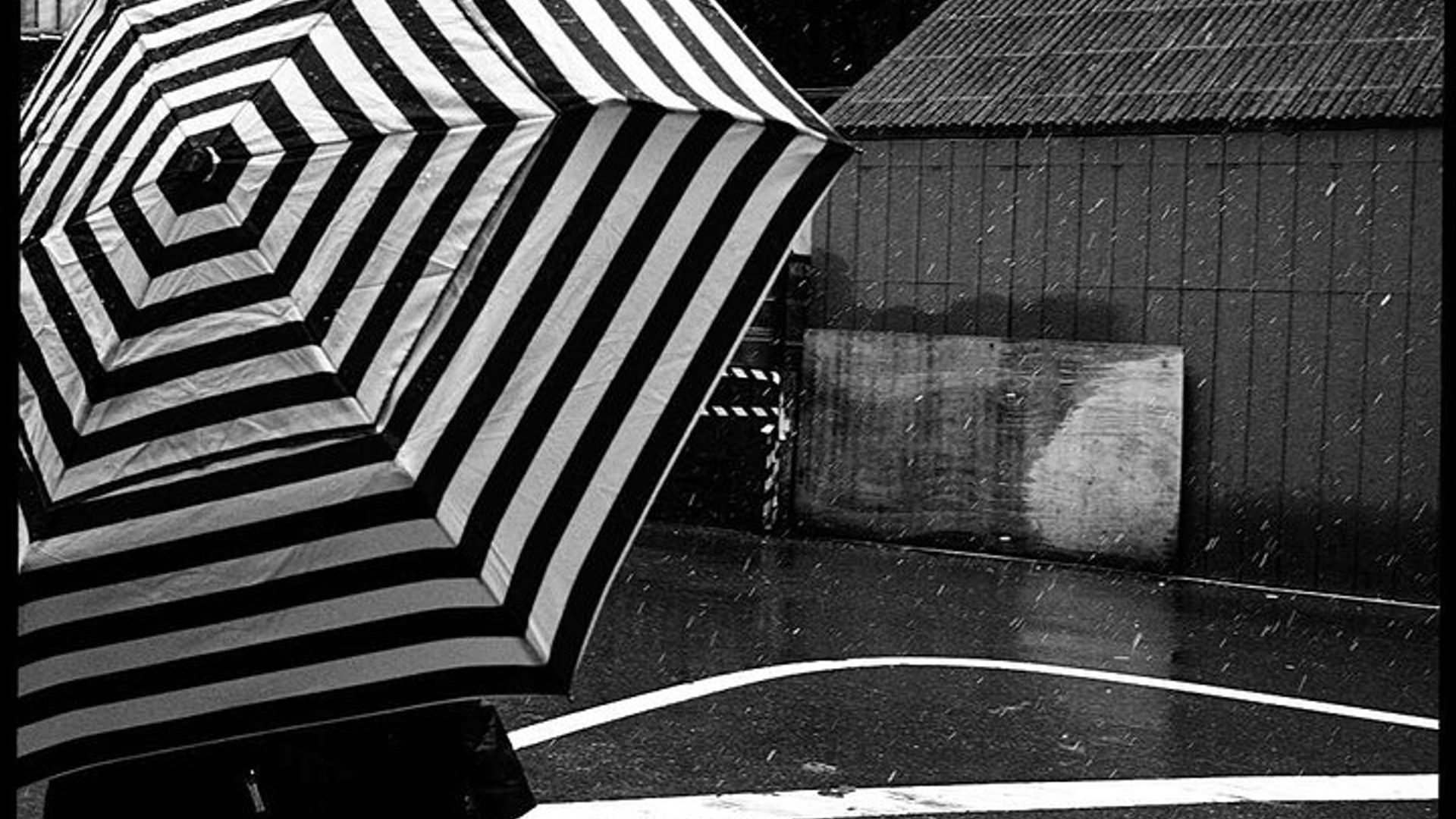 Iconic New York City Photography Tour image 1