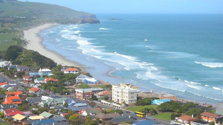 Dunedin Sightseeing and Otago Peninsula Private Wildlife Tour