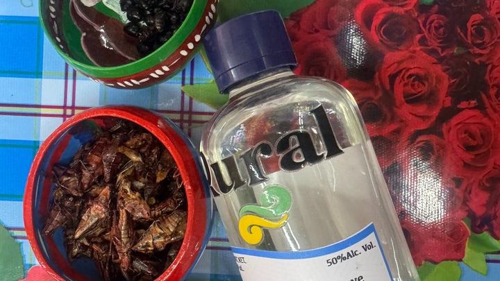 Half-Day Food and Culture Walking Tour, Oaxaca