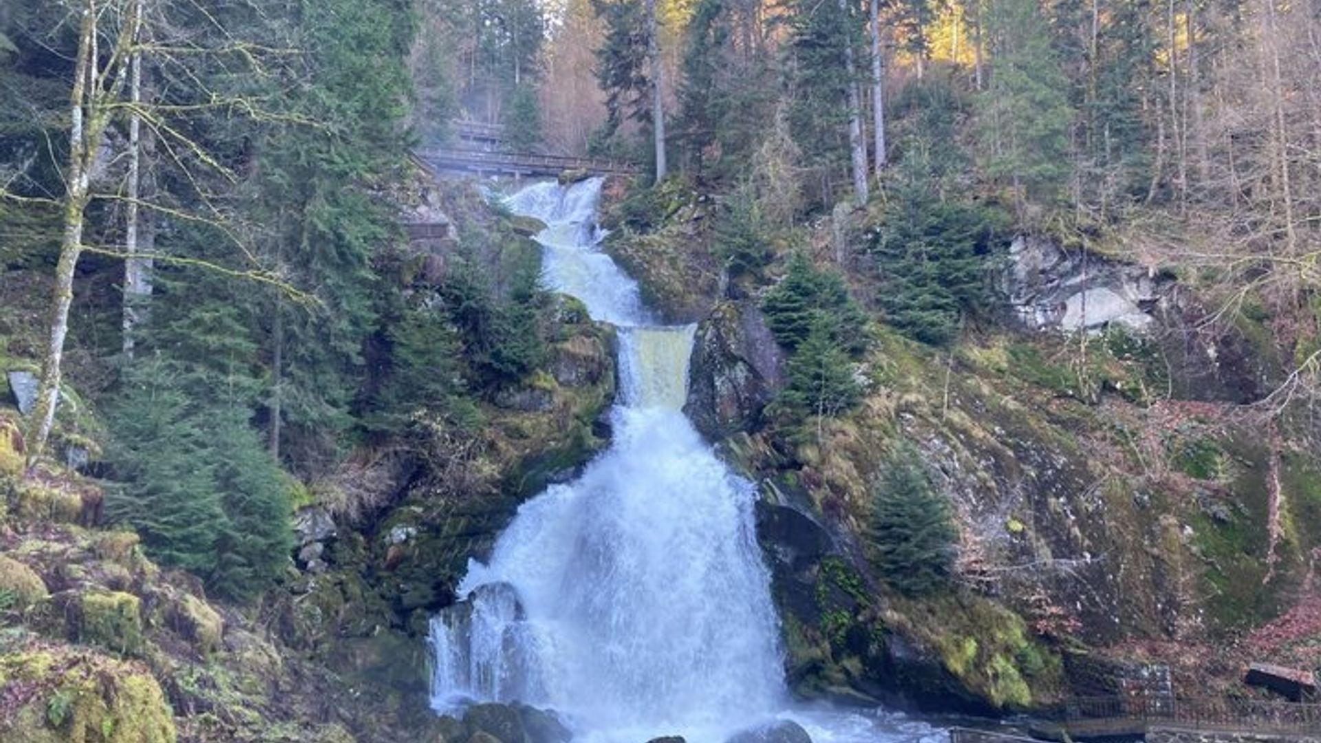 Desde Estrasburgo: Visita a la Selva Negra, incluyendo Triberg, Titisee y Friburgo.